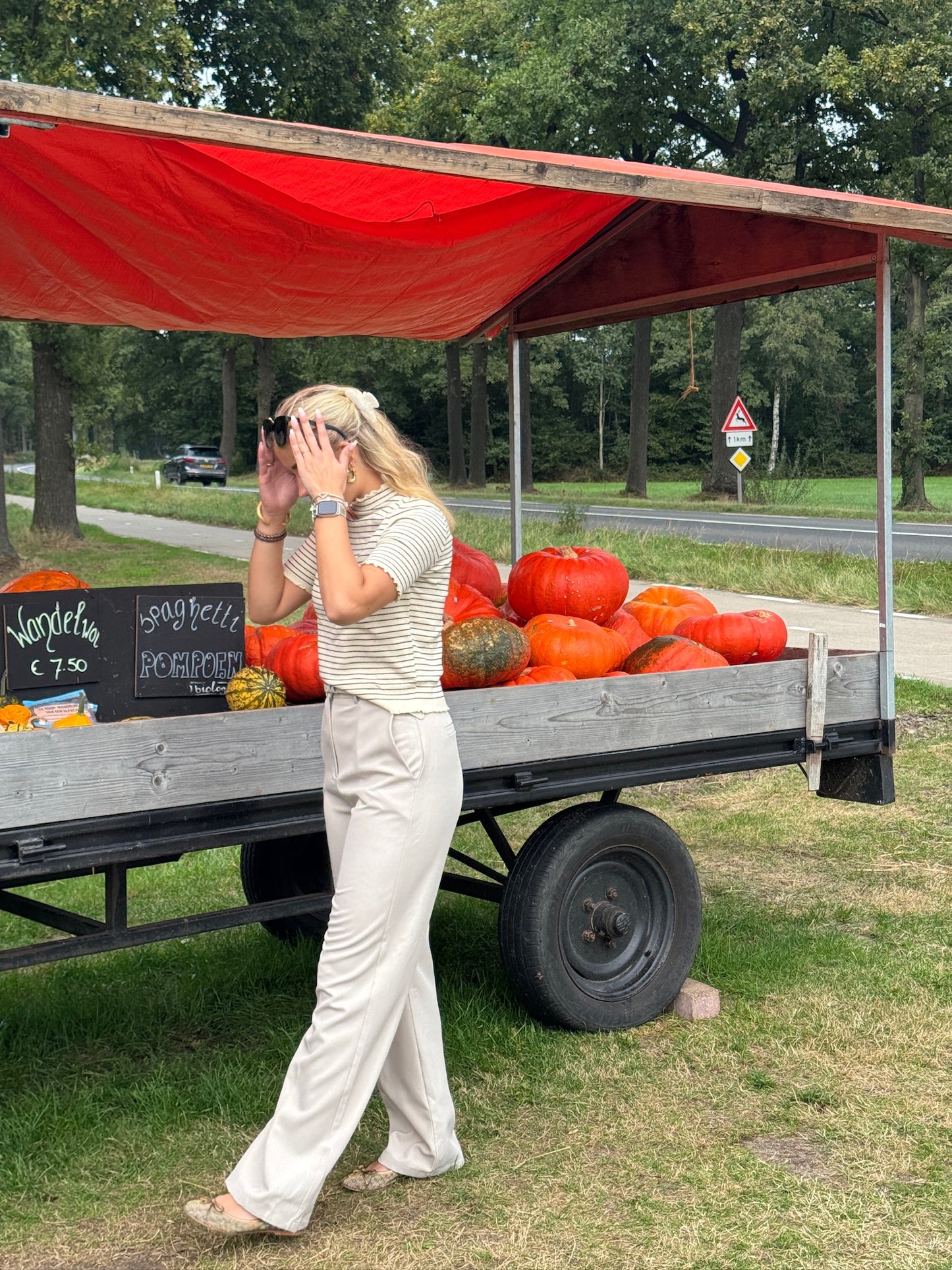 Lilo-Loiz The Aurélia Beige Pantalon